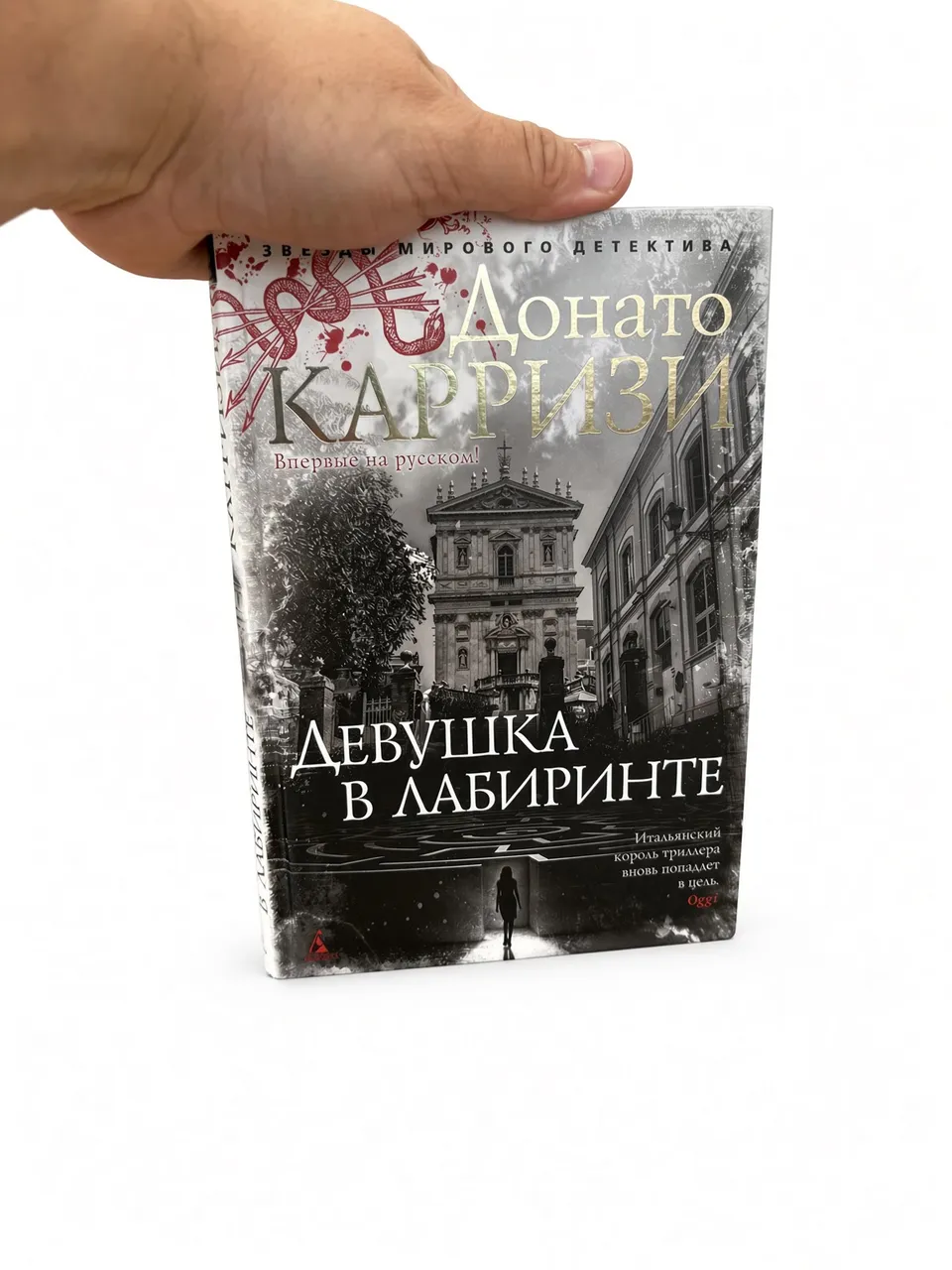 Девушка в лабиринте