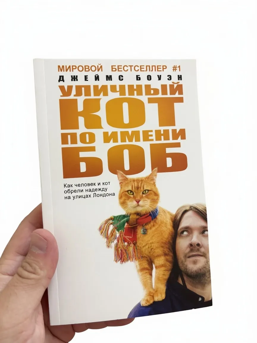 Уличный кот по имени Боб
