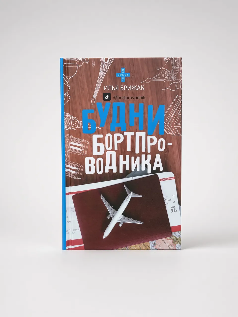 Будни бортпроводника — Илья Брижак