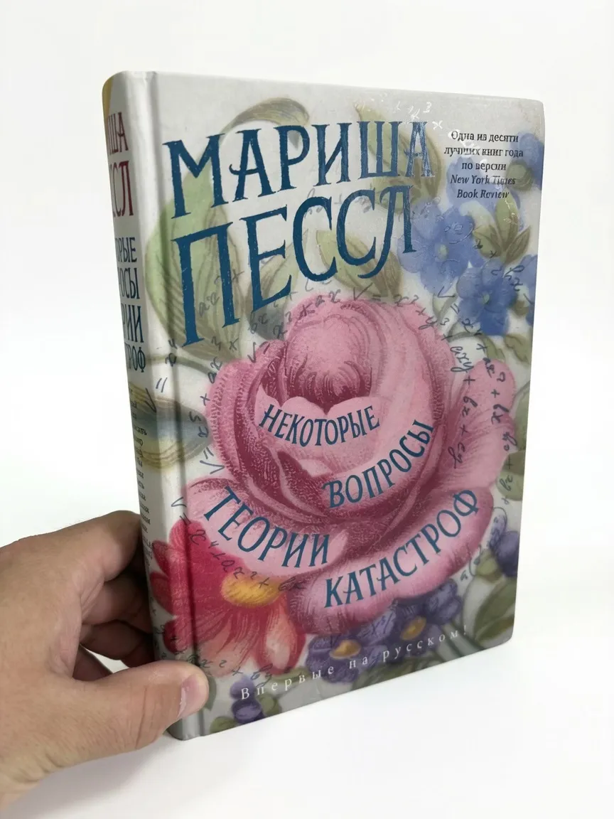 Некоторые вопросы теории катастроф.