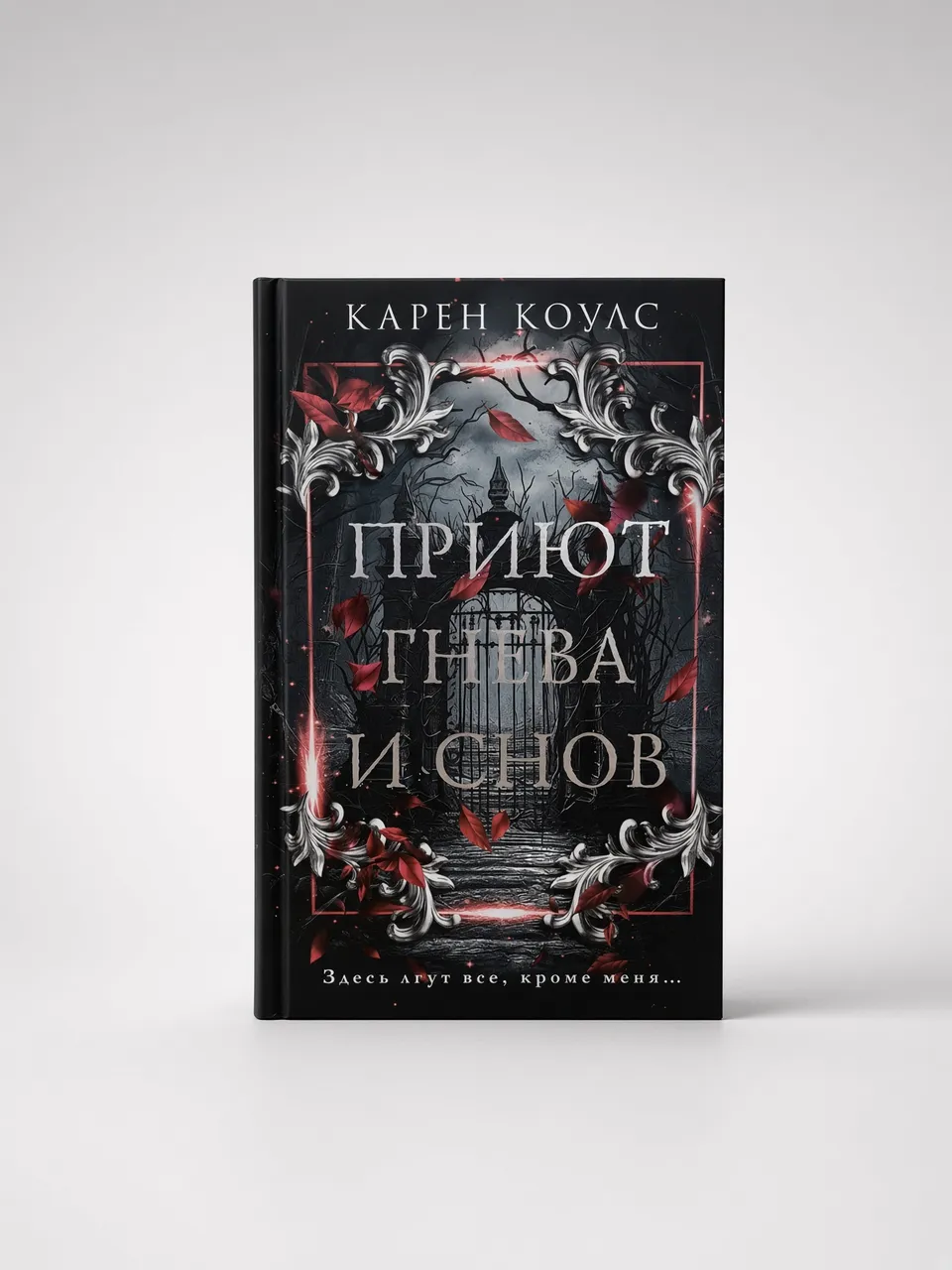 Приют гнева и снов — Карен Коулс