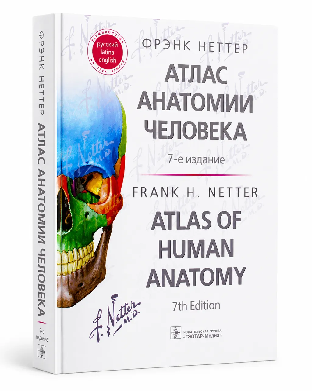 Атлас анатомии человека. 7 издание