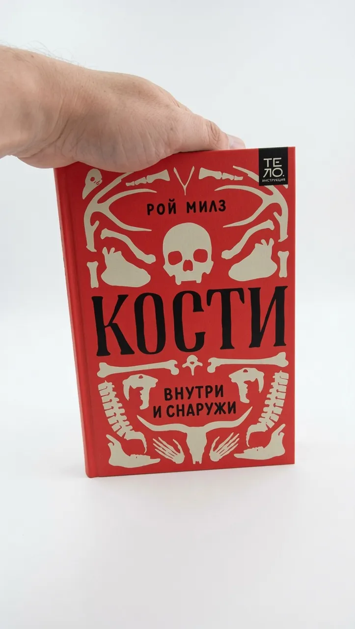 Кости. Внутри и снаружи