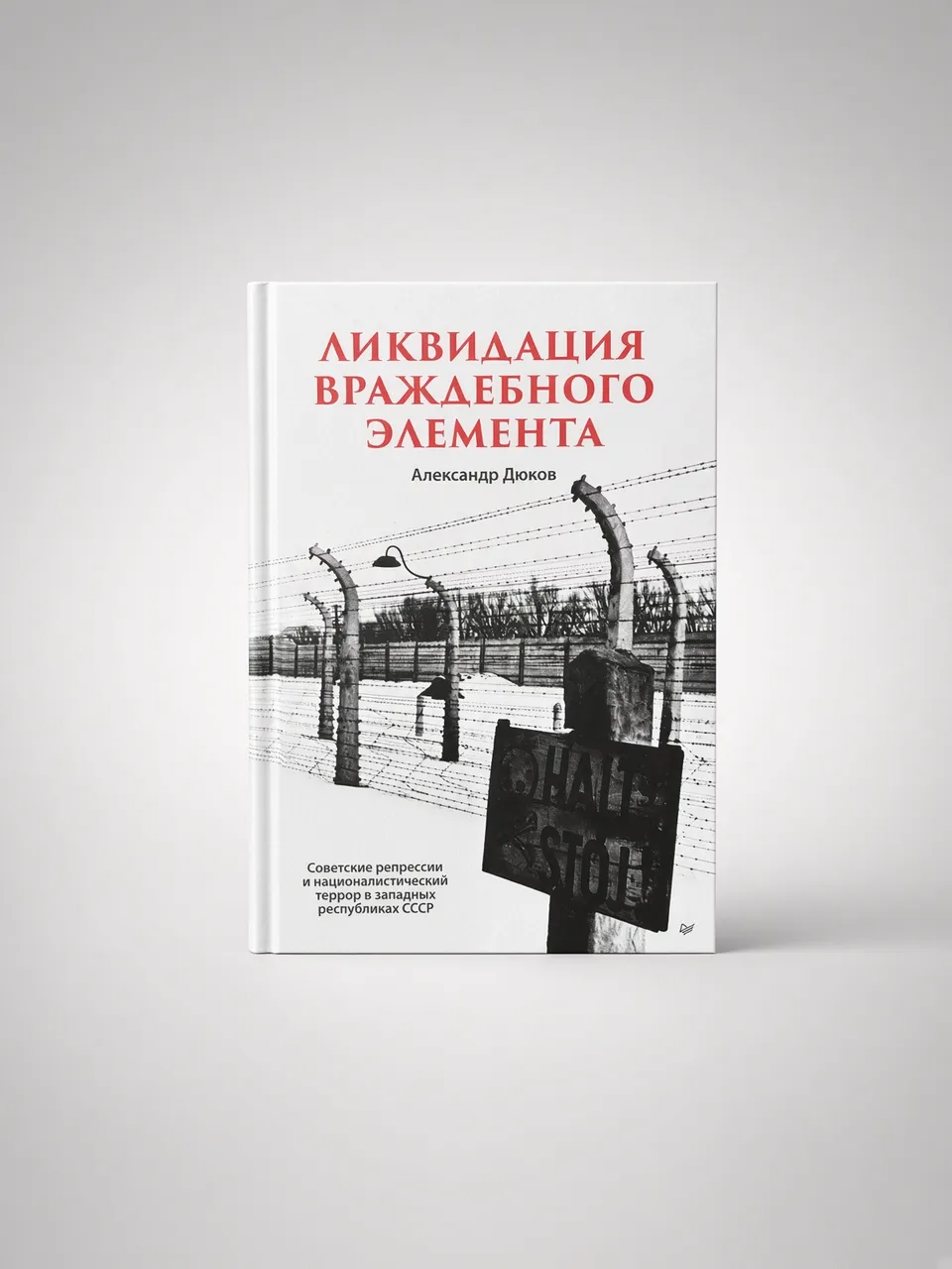 Ликвидация враждебного элемента