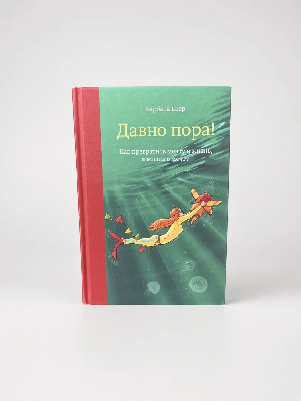 Давно пора! Как превратить мечту в жизнь, а жизнь в мечту