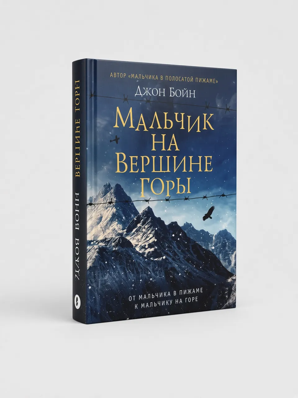 Мальчик на вершине горы — Джон Бойн