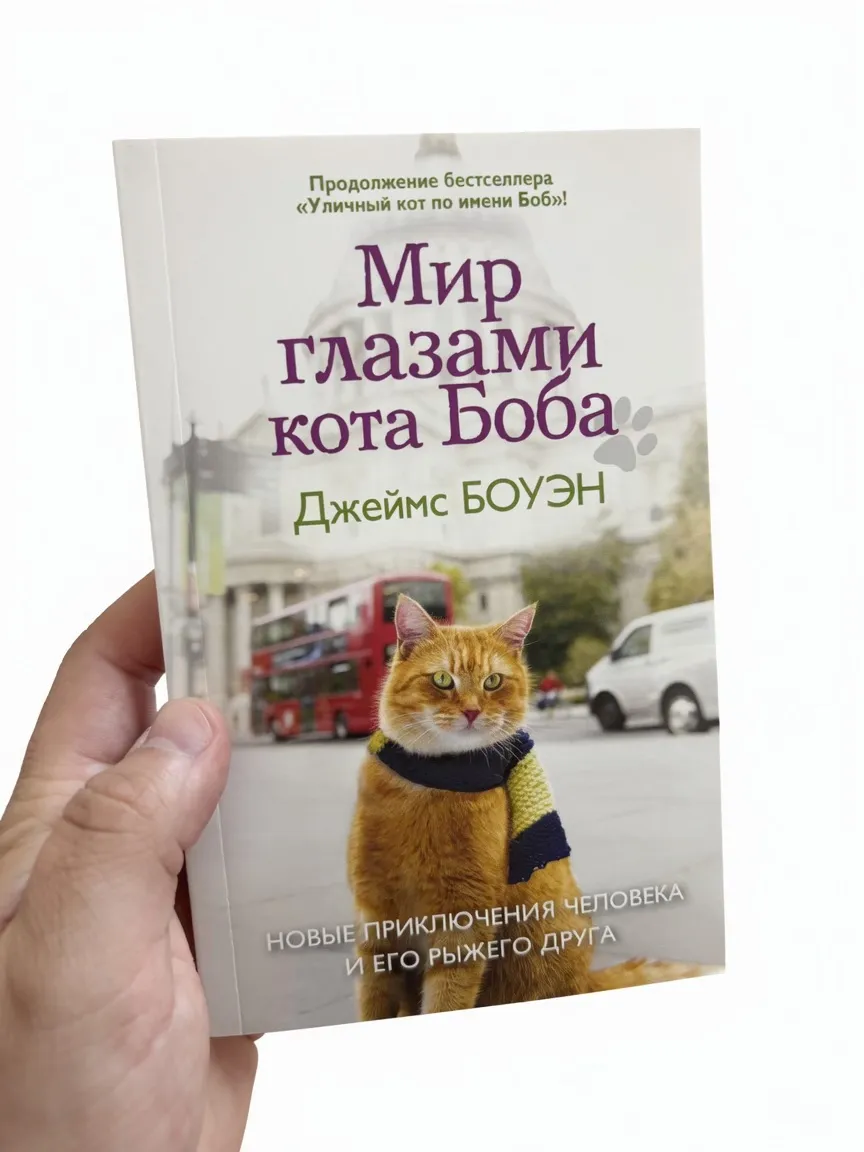 Мир глазами кота Боба