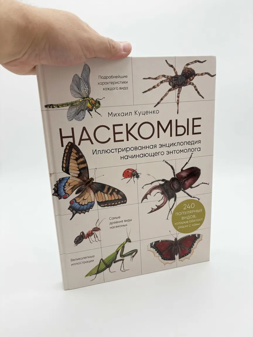 Насекомые. Иллюстрированная энциклопедия начинающего энтомолога.