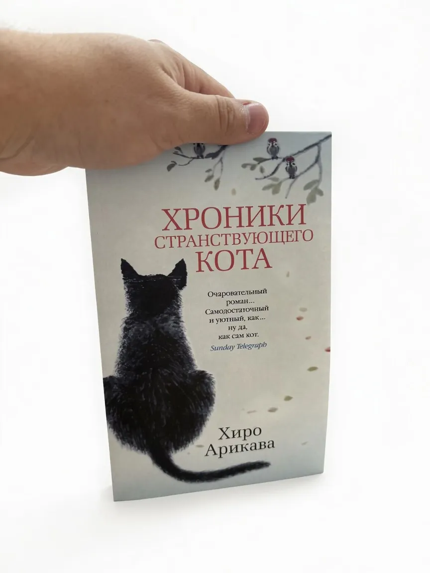 Хроники странствующего кота