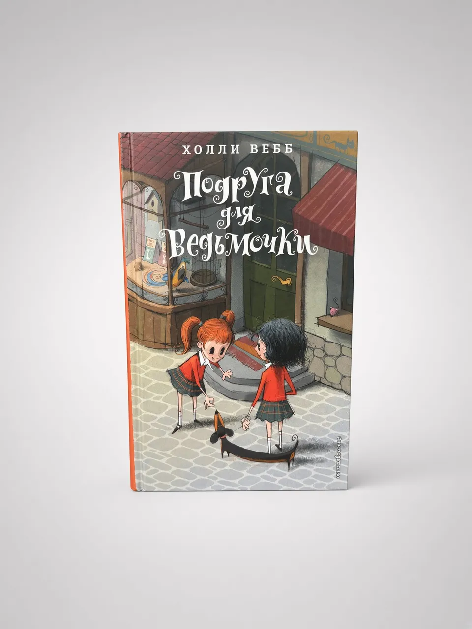 Подруга для ведьмочки — Холли Вебб
